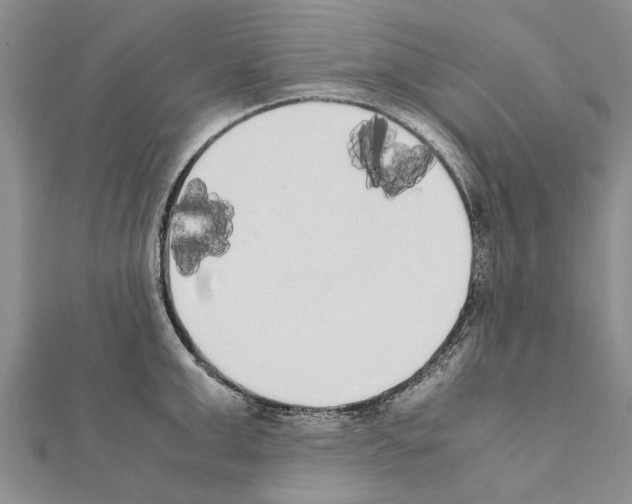 X0000111370999200908211314