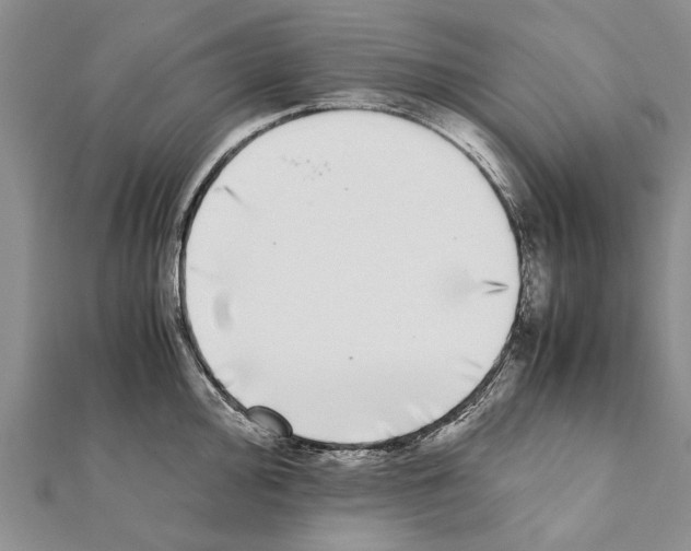 X0000111371000200908211314