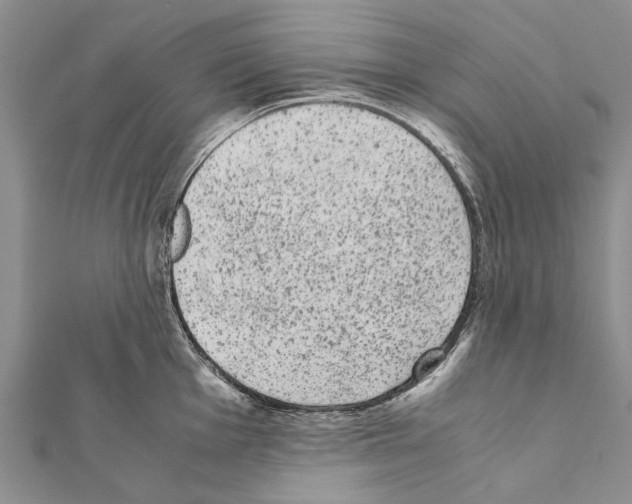X0000111371001200908211314