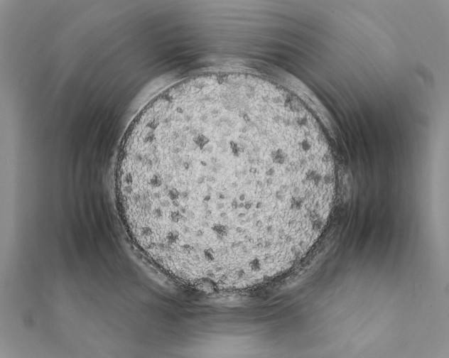 X0000111371002200908211314