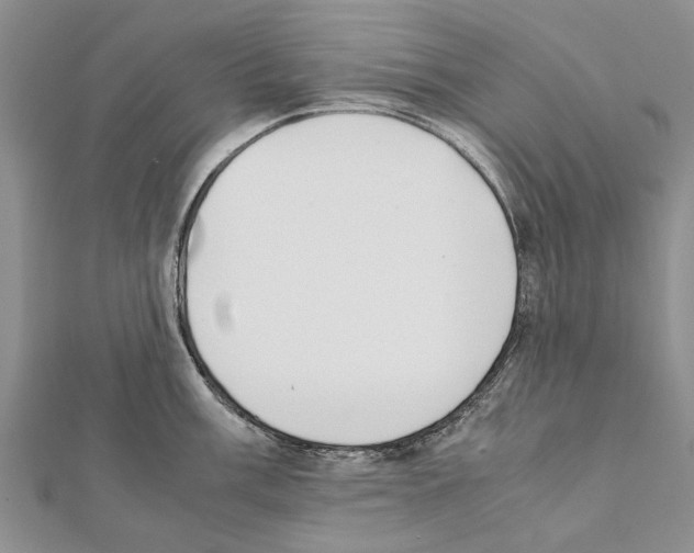 X0000111371003200908211314