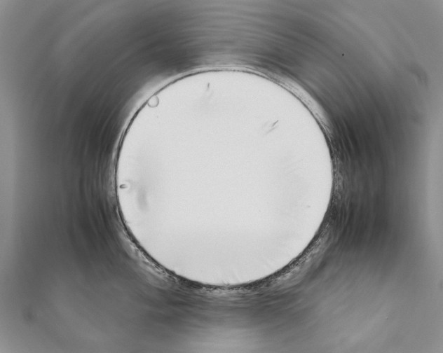 X0000111371004200908211314