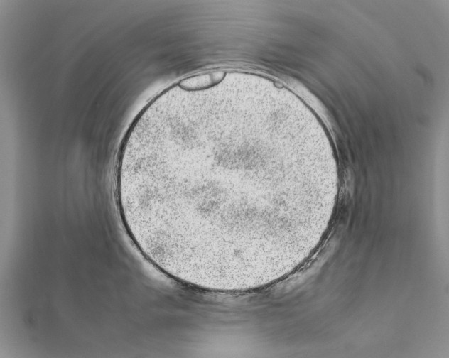 X0000111371005200908211314
