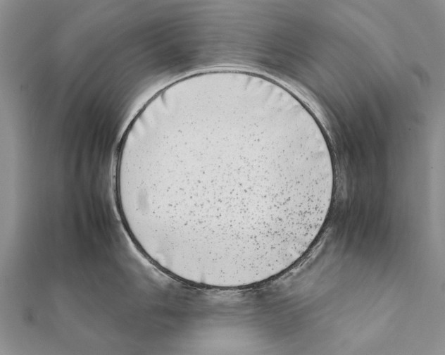 X0000111371006200908211314