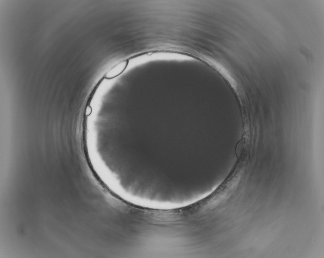 X0000111371007200908211314