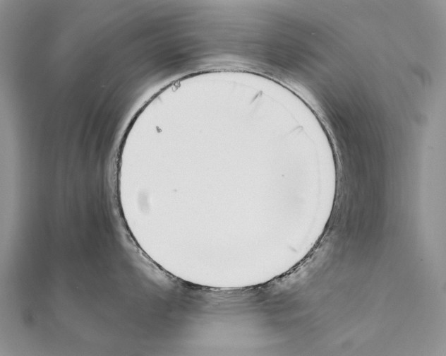 X0000111371008200908211314