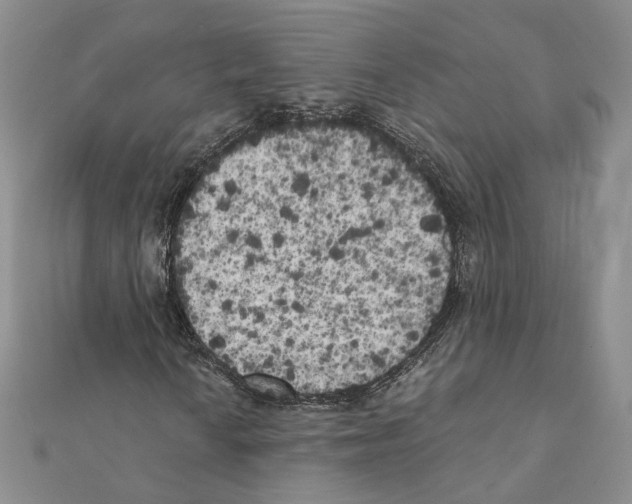X0000111371010200908211313