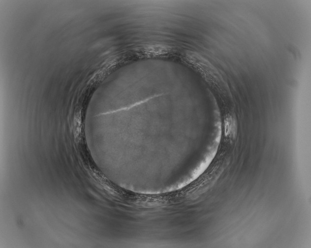 X0000111371011200908211313