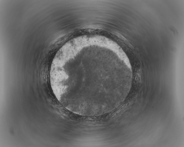 X0000111371014200908211313