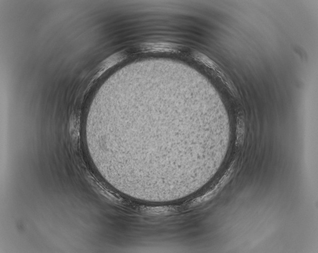 X0000111371017200908211314