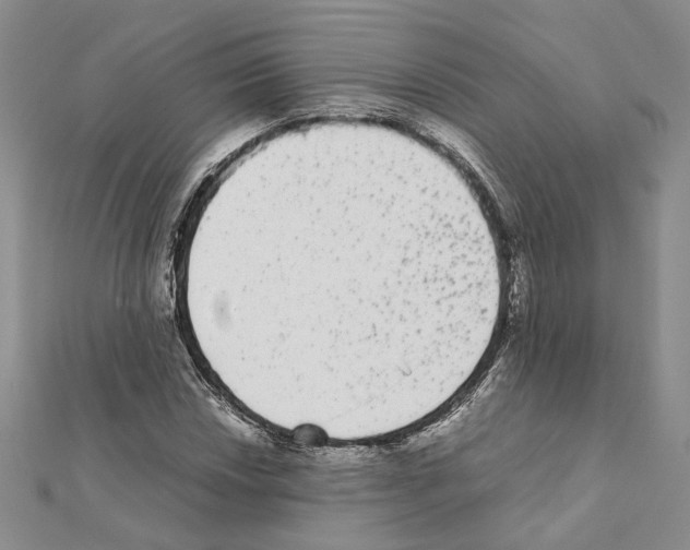 X0000111371018200908211314
