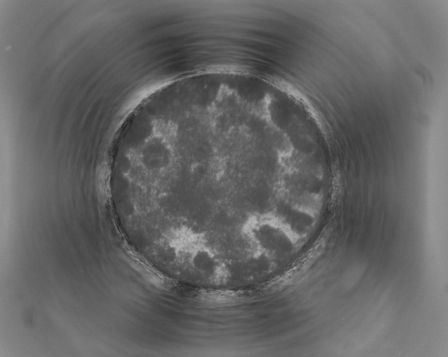 X0000111371019200908211314