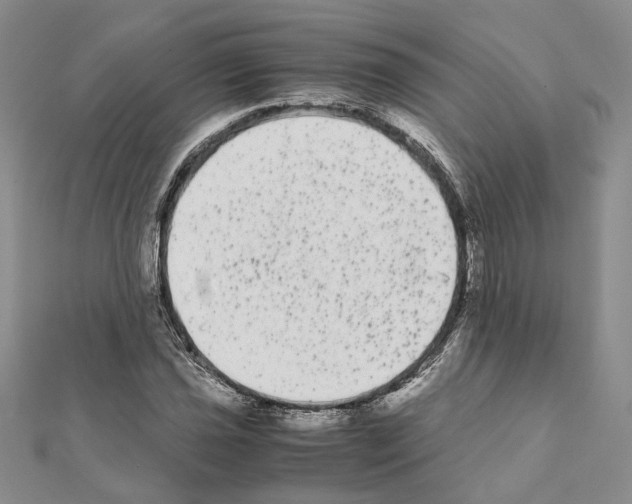 X0000111371021200908211314