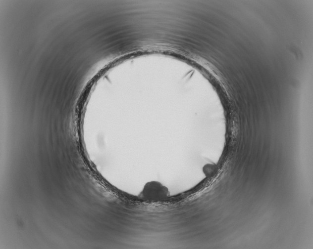 X0000111371022200908211314