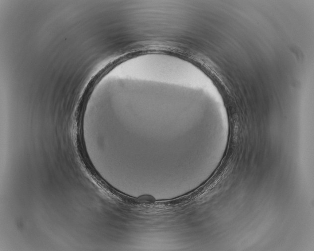 X0000111371024200908211314