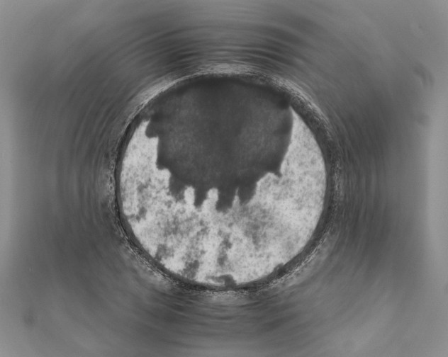 X0000111371025200908211314