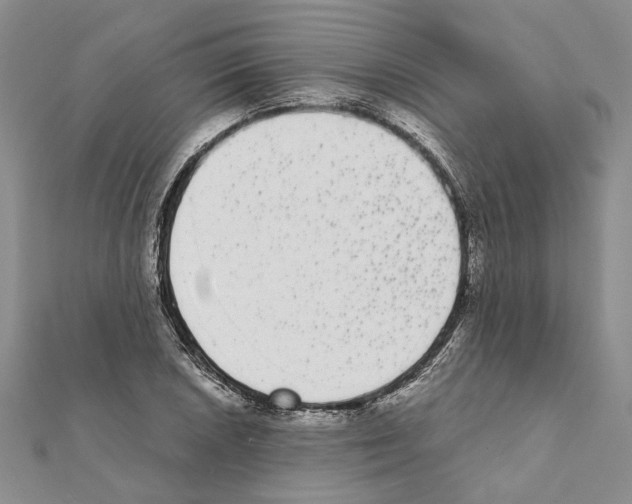 X0000111371026200908211314