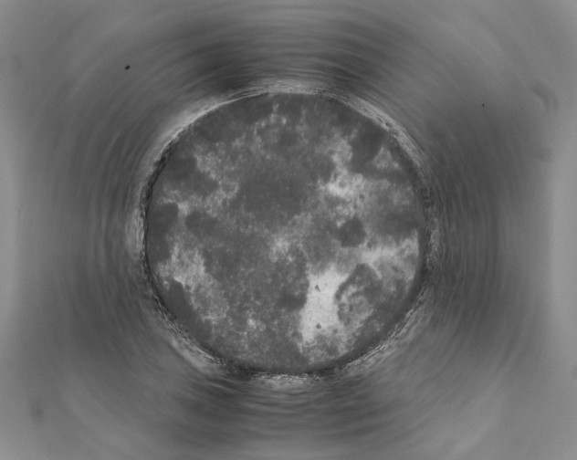 X0000111371027200908211314