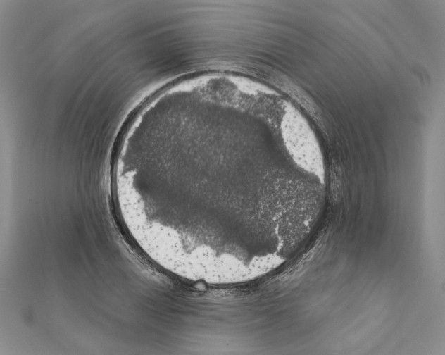 X0000111371028200908211314