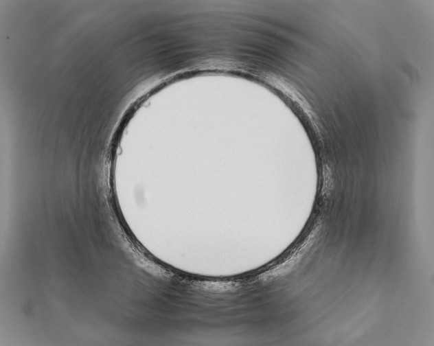 X0000111371029200908211314
