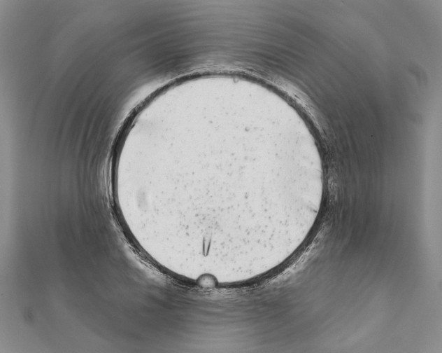 X0000111371030200908211314