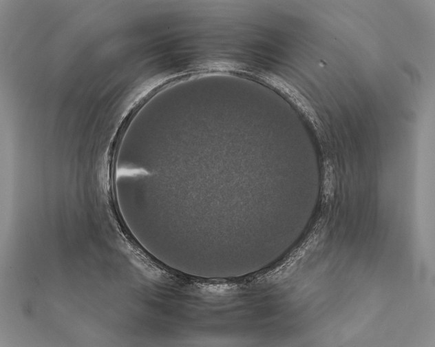 X0000111371031200908211314