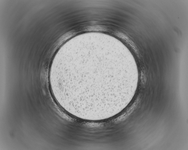 X0000111371033200908211314