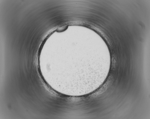 X0000111371034200908211314
