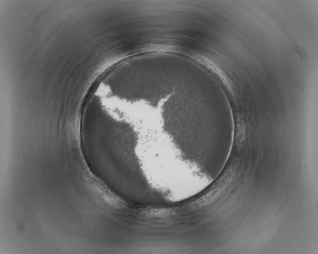 X0000111371035200908211314