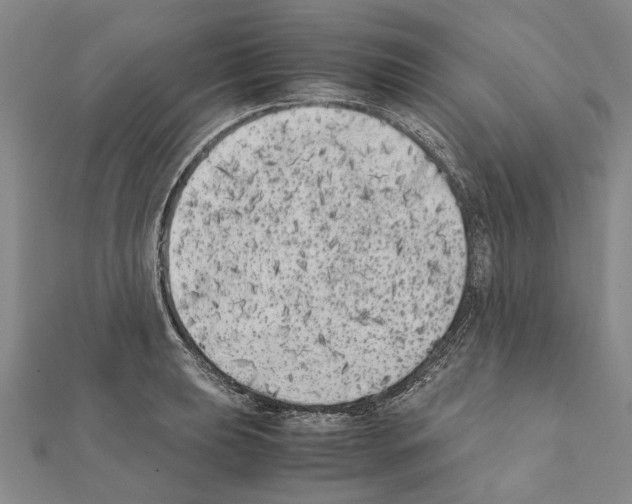 X0000111371039200908211314