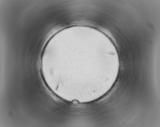 X0000111371040200908211314