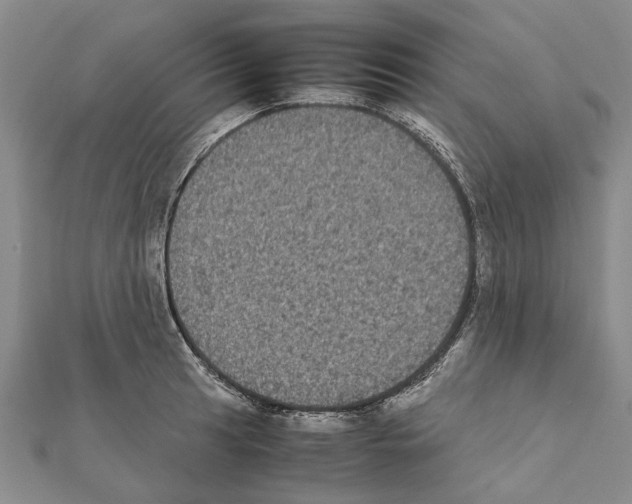 X0000111371041200908211314