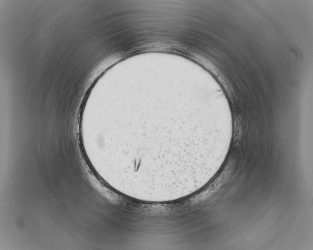 X0000111371042200908211314