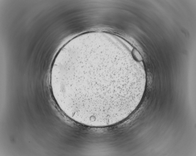 X0000111371044200908211314