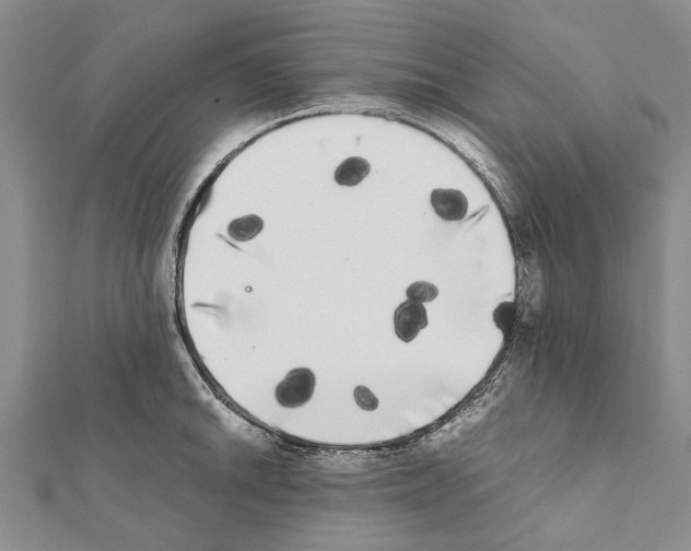 X0000111371046200908211314