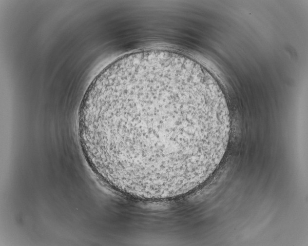X0000111371047200908211314