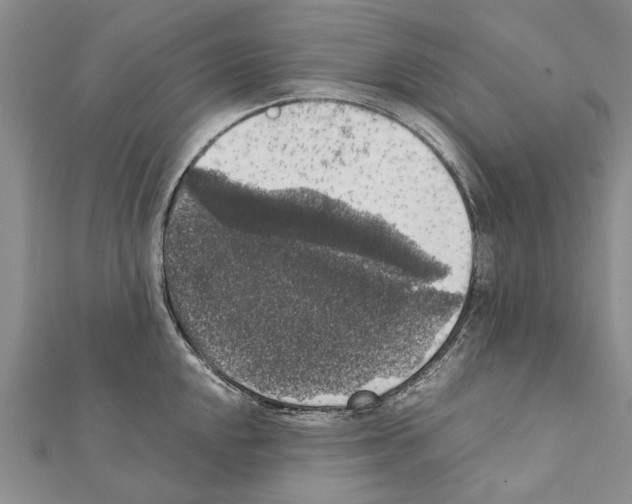 X0000111371048200908211314