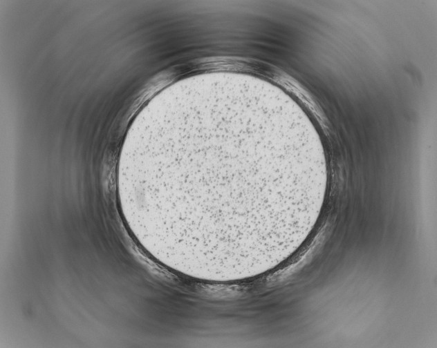 X0000111371049200908211314