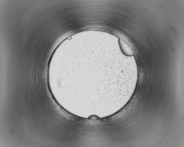 X0000111371050200908211314