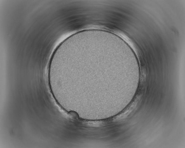 X0000111371053200908211314