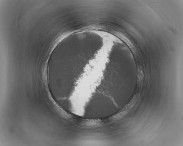 X0000111371055200908211314