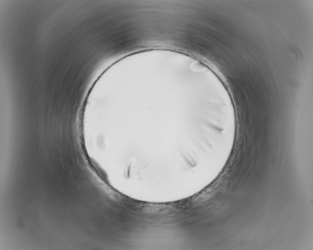X0000111371056200908211314
