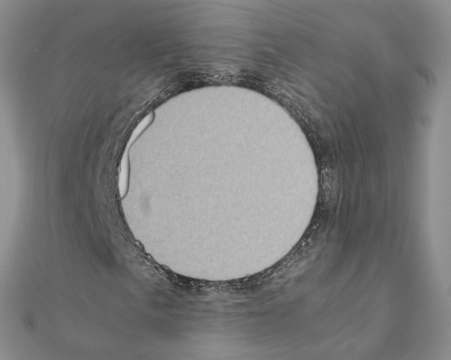 X0000111371057200908211313