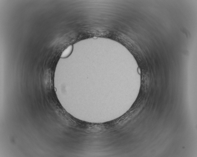X0000111371058200908211313