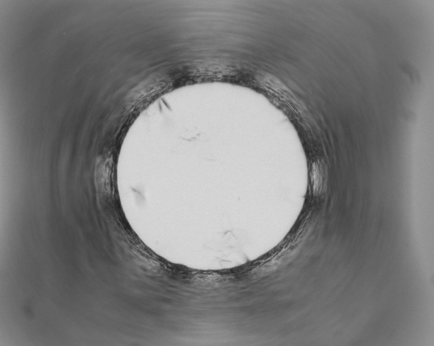 X0000111371059200908211313