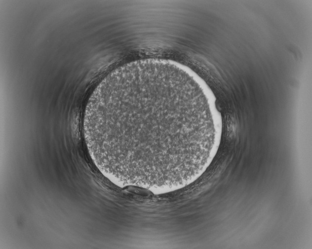 X0000111371060200908211313