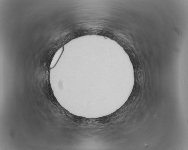 X0000111371061200908211313