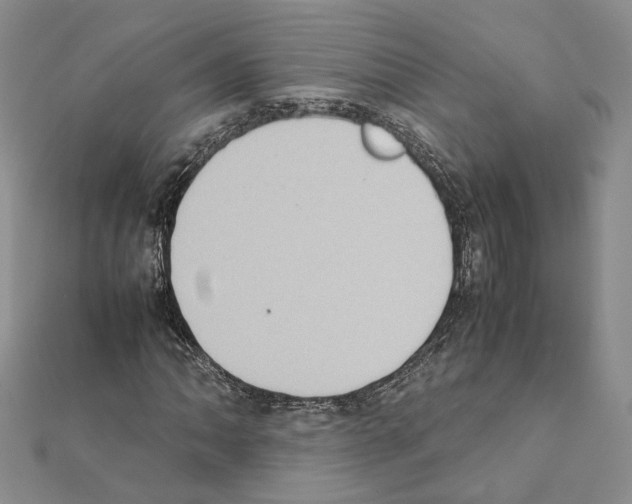 X0000111371062200908211313