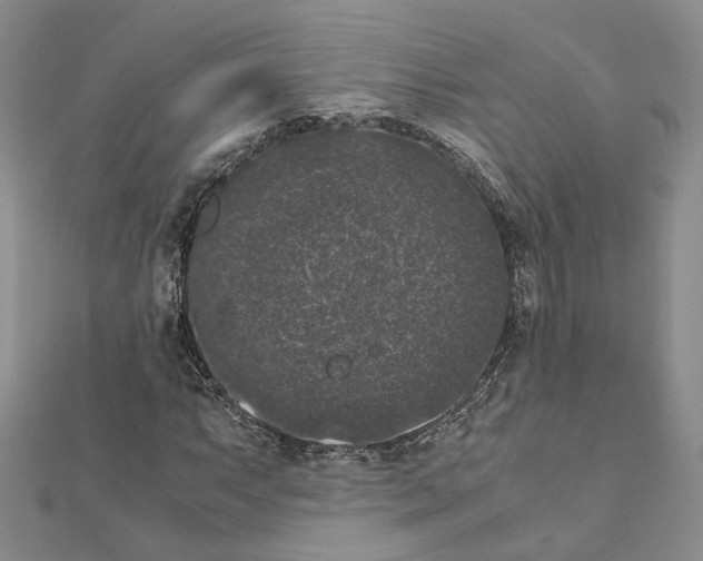 X0000111371063200908211313