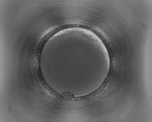 X0000111371064200908211313